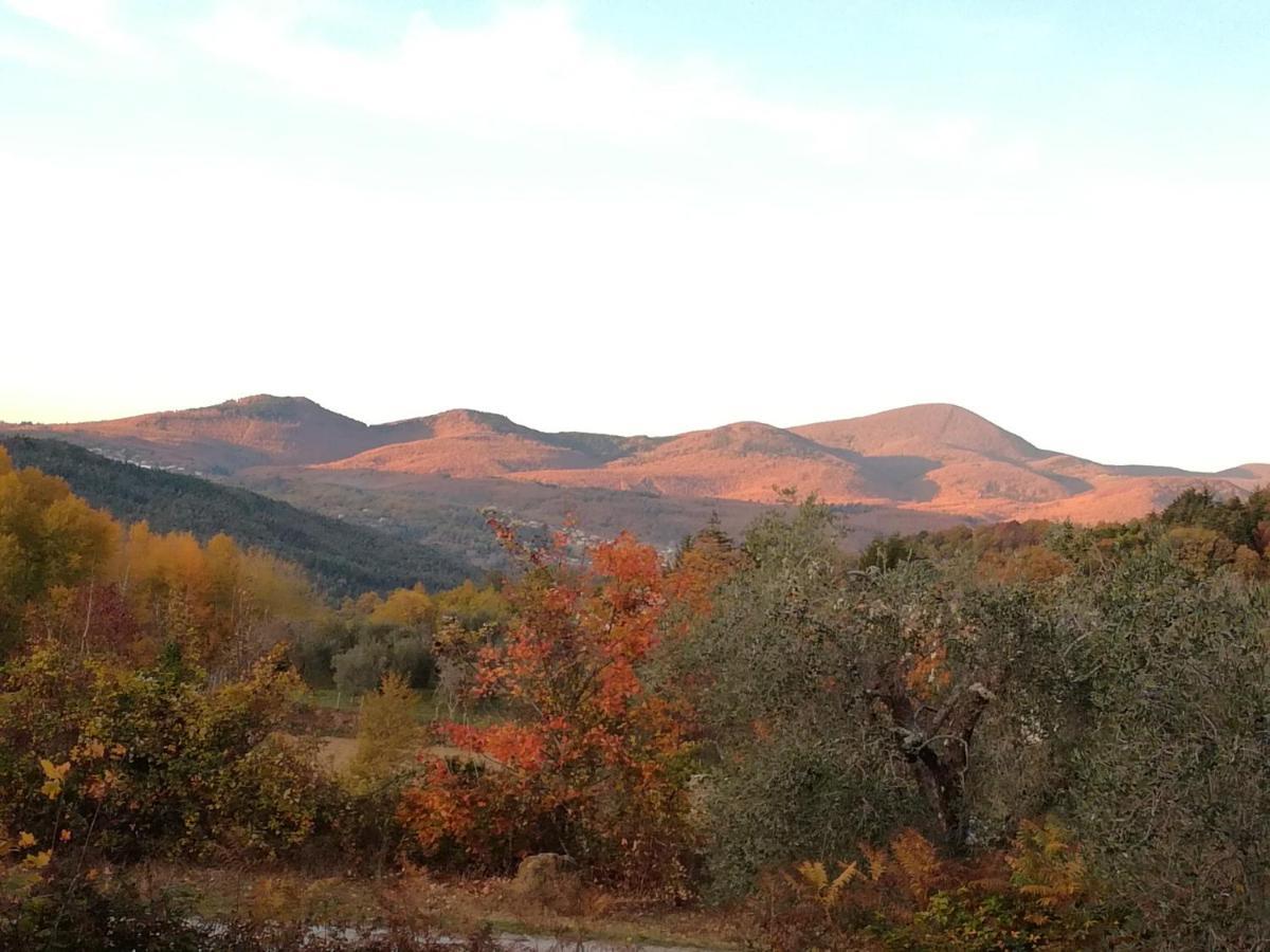 Podere Di Maggio - Glamping Tent 3 Santa Fiora Exteriör bild