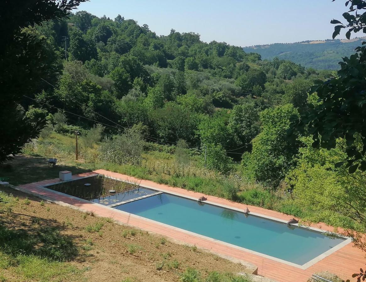 Podere Di Maggio - Glamping Tent 3 Santa Fiora Exteriör bild