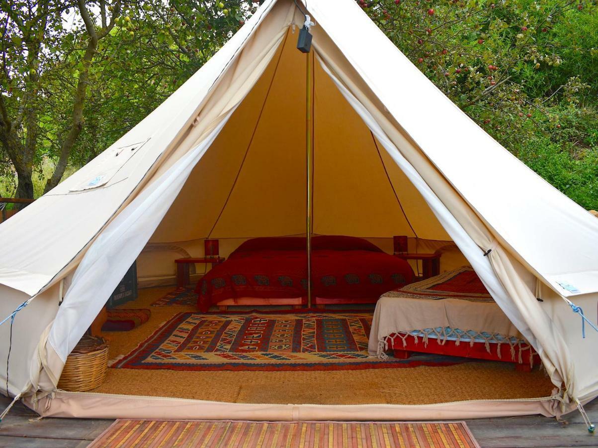 Podere Di Maggio - Glamping Tent 3 Santa Fiora Exteriör bild