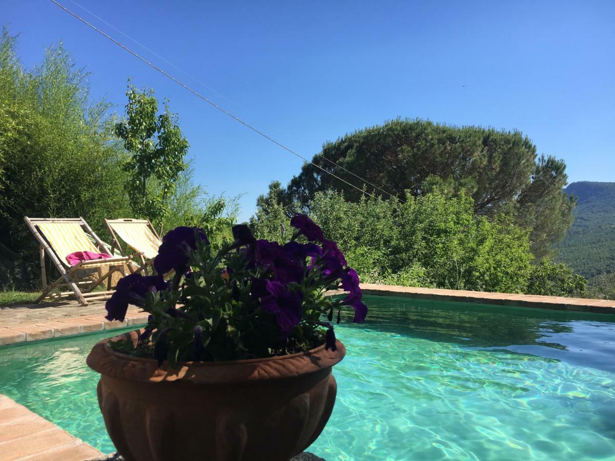 Podere Di Maggio - Glamping Tent 3 Santa Fiora Exteriör bild